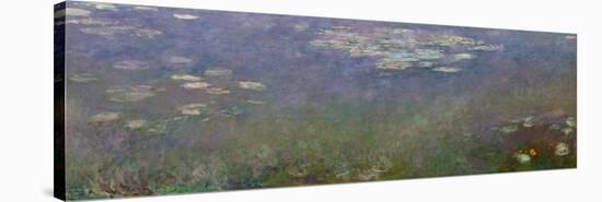 Water Lilies (Agapanthus) C.1915-26 (Oil on Canvas)-Claude Monet-Stretched Canvas