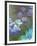 Water Lilies and Agapanthus-Claude Monet-Framed Art Print