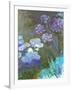 Water Lilies and Agapanthus-Claude Monet-Framed Art Print