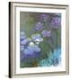 Water Lilies and Agapanthus-Claude Monet-Framed Art Print