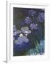 Water Lilies and Agapanthus-Claude Monet-Framed Giclee Print