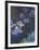 Water Lilies and Agapanthus-Claude Monet-Framed Giclee Print