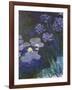 Water Lilies and Agapanthus-Claude Monet-Framed Giclee Print