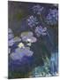 Water Lilies and Agapanthus-Claude Monet-Mounted Giclee Print