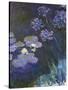 Water Lilies and Agapanthus-Claude Monet-Stretched Canvas