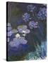 Water Lilies and Agapanthus-Claude Monet-Stretched Canvas