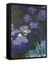 Water Lilies and Agapanthus-Claude Monet-Framed Stretched Canvas