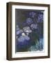 Water Lilies and Agapanthus-Claude Monet-Framed Premium Giclee Print