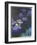 Water Lilies and Agapanthus-Claude Monet-Framed Premium Giclee Print