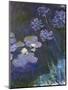 Water Lilies and Agapanthus-Claude Monet-Mounted Premium Giclee Print