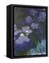 Water Lilies and Agapanthus-Claude Monet-Framed Stretched Canvas