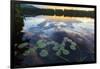 Water Lilies and Cloud Reflection on Lang Pond, Northern Forest, Maine-Jerry & Marcy Monkman-Framed Photographic Print