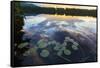 Water Lilies and Cloud Reflection on Lang Pond, Northern Forest, Maine-Jerry & Marcy Monkman-Framed Stretched Canvas