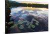 Water Lilies and Cloud Reflection on Lang Pond, Northern Forest, Maine-Jerry & Marcy Monkman-Stretched Canvas