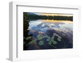 Water Lilies and Cloud Reflection on Lang Pond, Northern Forest, Maine-Jerry & Marcy Monkman-Framed Photographic Print