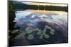 Water Lilies and Cloud Reflection on Lang Pond, Northern Forest, Maine-Jerry & Marcy Monkman-Mounted Photographic Print