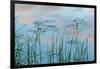 Water Lilies and Clouds, Lone Jack Pond, Northern Forest, Maine-Jerry & Marcy Monkman-Framed Photographic Print