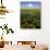 Water Lilies and Sawgrass in the Florida Everglades, Florida, USA-David R. Frazier-Photographic Print displayed on a wall