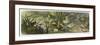 Water-Lilies and Water Fairies-Richard Doyle-Framed Art Print