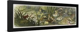 Water-Lilies and Water Fairies-Richard Doyle-Framed Art Print