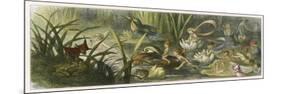 Water-Lilies and Water Fairies-Richard Doyle-Mounted Premium Giclee Print