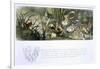 Water-Lilies and Water Fairies-Richard Doyle-Framed Giclee Print