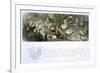 Water-Lilies and Water Fairies-Richard Doyle-Framed Giclee Print