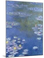 Water Lilies at Giverny - Focus-Monet Claude-Mounted Giclee Print