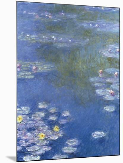 Water Lilies at Giverny - Focus-Monet Claude-Mounted Giclee Print