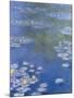 Water Lilies at Giverny - Focus-Monet Claude-Mounted Giclee Print