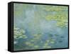 Water Lilies, c.1906 (oil on canvas)-Claude Monet-Framed Stretched Canvas