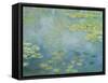 Water Lilies, c.1906 (oil on canvas)-Claude Monet-Framed Stretched Canvas