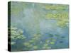 Water Lilies, c.1906 (oil on canvas)-Claude Monet-Stretched Canvas