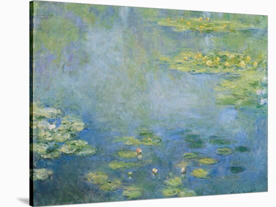 Water Lilies, C. 1906-Claude Monet-Stretched Canvas