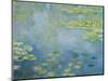 Water Lilies, C. 1906-Claude Monet-Mounted Premium Giclee Print