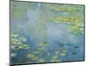 Water Lilies, C. 1906-Claude Monet-Mounted Giclee Print