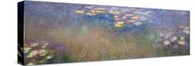 Water Lilies, C.1915-26-Claude Monet-Stretched Canvas