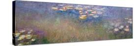 Water Lilies, C.1915-26-Claude Monet-Stretched Canvas
