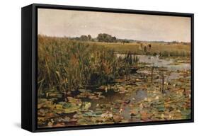 'Water Lilies', c1870-James Aumonier-Framed Stretched Canvas