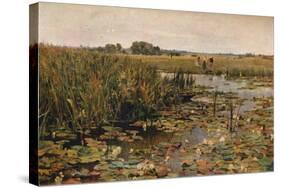 'Water Lilies', c1870-James Aumonier-Stretched Canvas