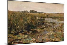 'Water Lilies', c1870-James Aumonier-Mounted Giclee Print