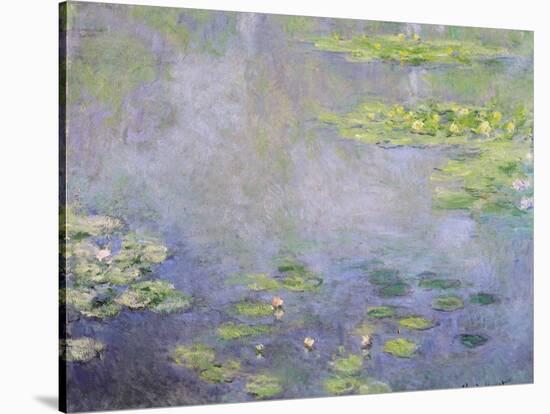 Water Lilies, C1906-Claude Monet-Stretched Canvas