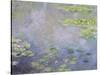 Water Lilies, C1906-Claude Monet-Stretched Canvas