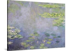 Water Lilies, C1906-Claude Monet-Stretched Canvas