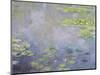 Water Lilies, C1906-Claude Monet-Mounted Giclee Print