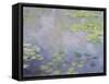 Water Lilies, C1906-Claude Monet-Framed Stretched Canvas