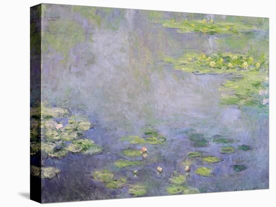 Water Lilies, C1906-Claude Monet-Stretched Canvas