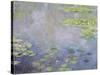 Water Lilies, C1906-Claude Monet-Stretched Canvas