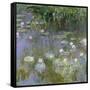 Water Lilies, C1915-Claude Monet-Framed Stretched Canvas