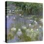 Water Lilies, C1915-Claude Monet-Stretched Canvas